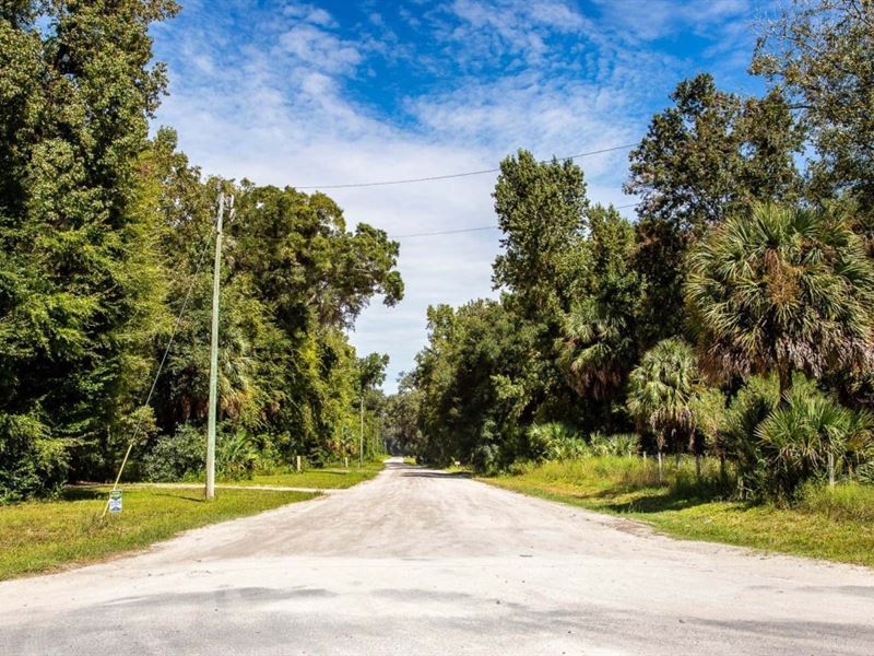 Owner Finance, Mobile Okay, 2.47 Ac : Old Town : Dixie County : Florida