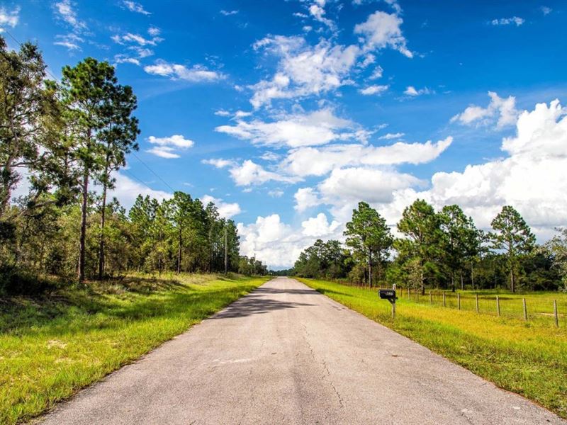 Reduced, Beauty, 20.22 Ac : Dunnellon : Marion County : Florida