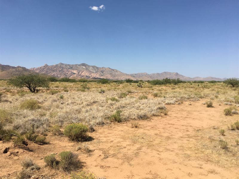Spacious & Beautiful County Land : Pearce : Cochise County : Arizona