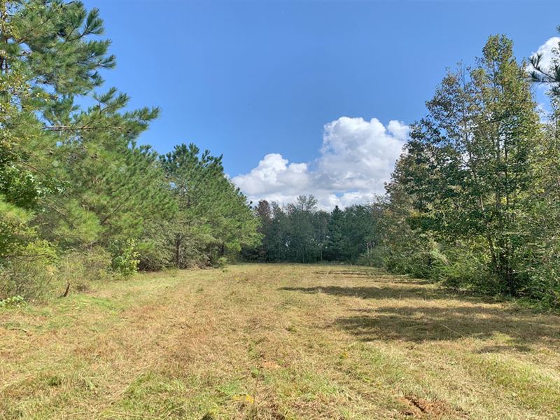 Butler Street Tract : Atmore : Escambia County : Alabama