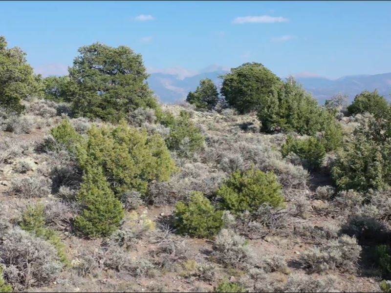 1.17 Acres for Sale in Costilla, CO : San Luis : Costilla County : Colorado