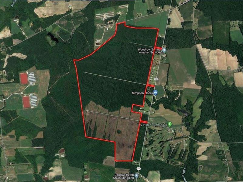 348 Acres of Timber and Hunting Lan : Pink Hill : Duplin County : North Carolina