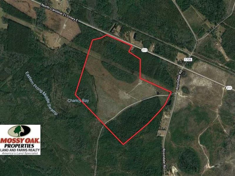 233 Acres of Timber and Hunting Lan : Clarkton : Bladen County : North Carolina