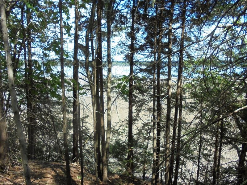 Riverfront Land, Maine Real Estate : Robbinston : Washington County : Maine