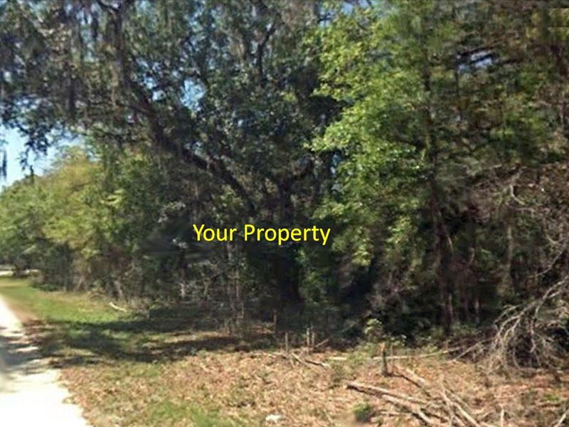 .23 Acre Property in Lake Community : Interlachen : Putnam County : Florida