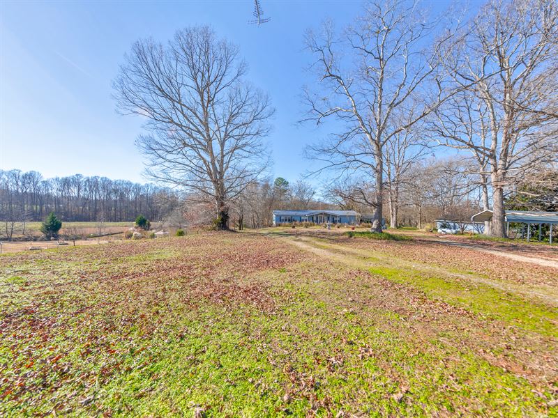 Greer Farm Tract 1 : Canon : Franklin County : Georgia