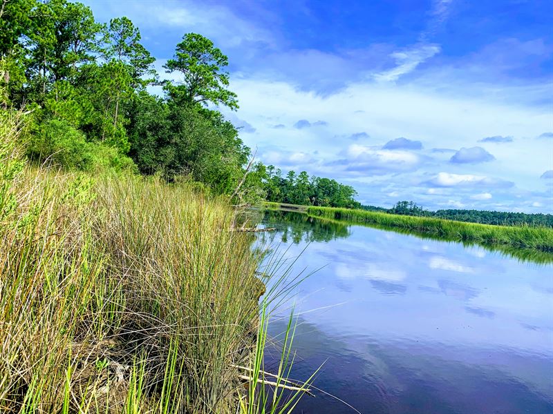 Cabbage Bluff Plantation : Brunswick : Glynn County : Georgia