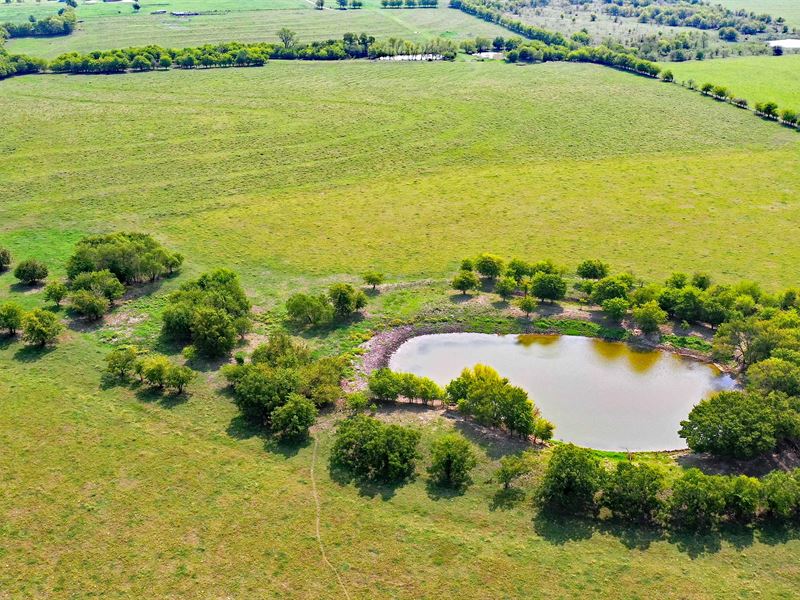 110 Acres, Old 95, Temple : Temple : Bell County : Texas
