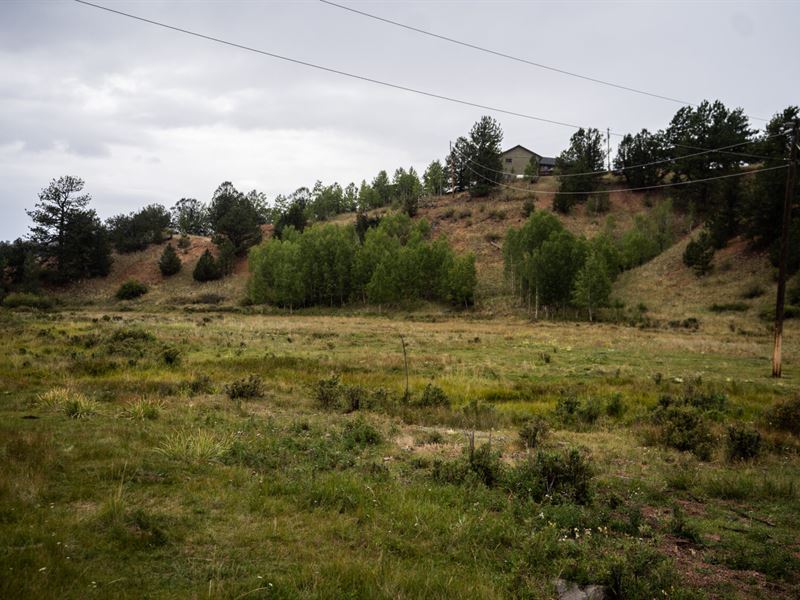 1.57Ac Lot with Trees Power & Water : Cripple Creek : Teller County : Colorado