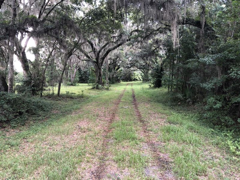 Green Creek Plantation : Saint Simons : Glynn County : Georgia