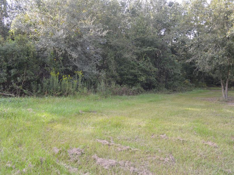 Great 5 Acres : Live Oak : Suwannee County : Florida