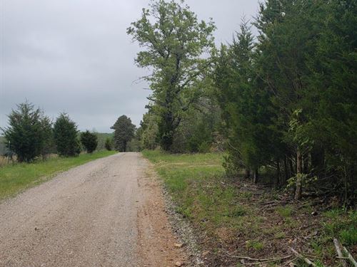 Wooded Land in South Central, MO : Raymondville : Texas County : Missouri