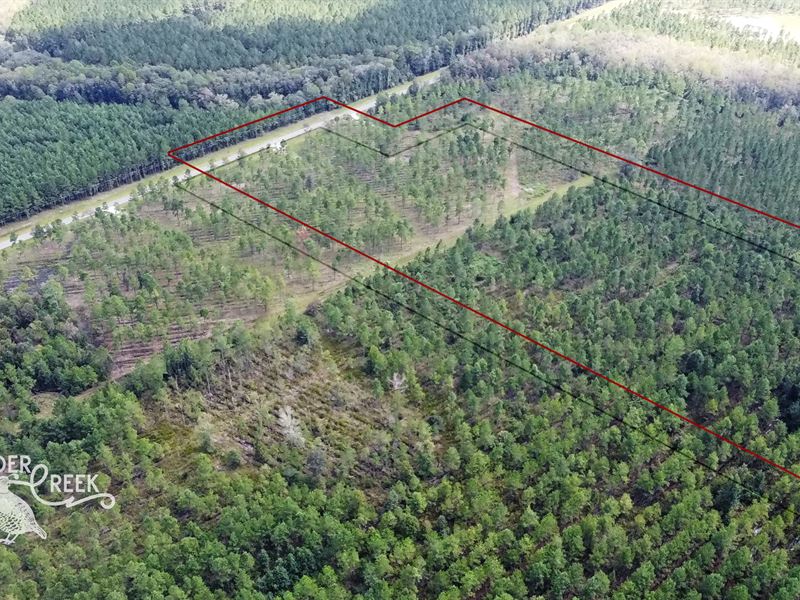 Lot 8- 27.57 Acres Wilder Creek : Hilliard : Nassau County : Florida