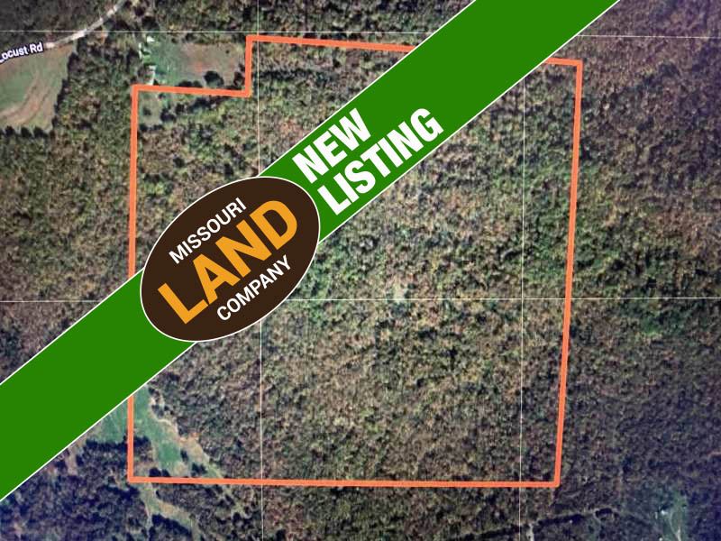 155 Acre Morgan County Hunting : Versailles : Morgan County : Missouri