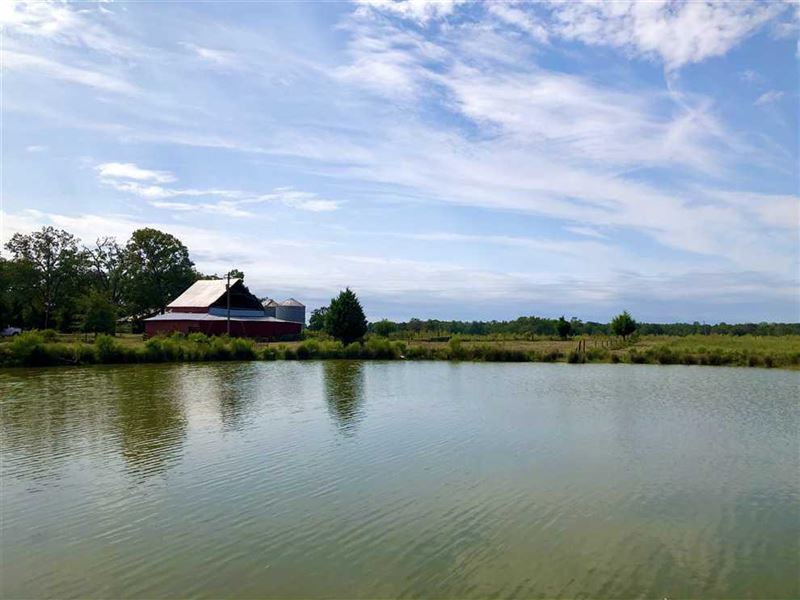 Farm, Pond, Fields, & Woods : Danville : Twiggs County : Georgia