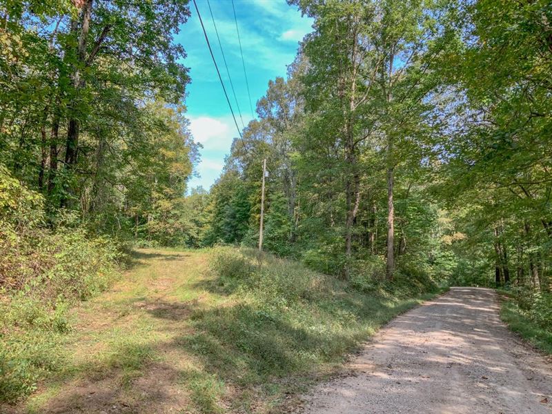 Mash Hill Rd, 41 Acres, Vinton Co : McArthur : Vinton County : Ohio