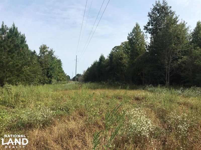 Luxapallila Deer, Turkey, & Duck Hu : Millport : Lamar County : Alabama