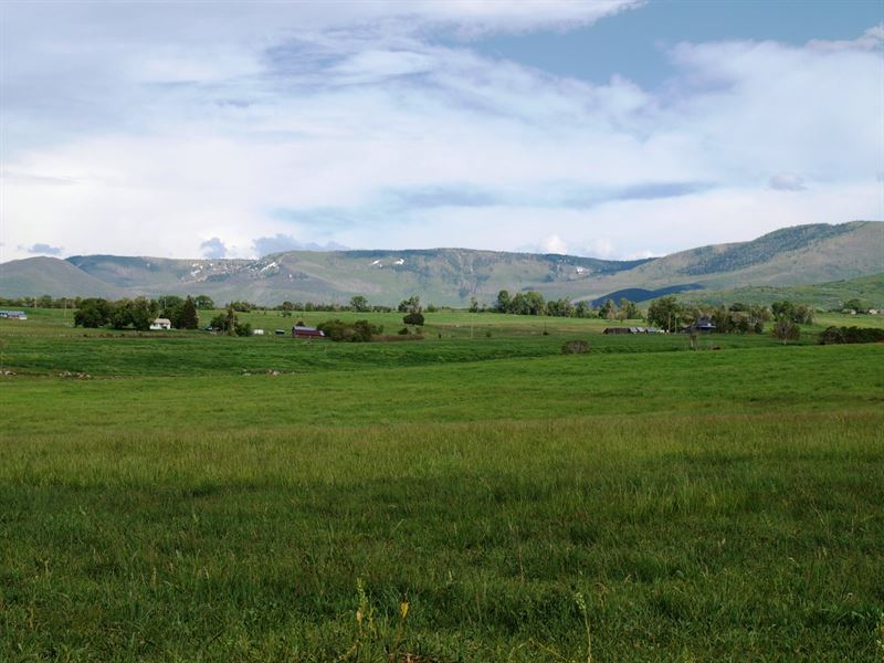 Western Colorado Recreational Land : Collbran : Mesa County : Colorado
