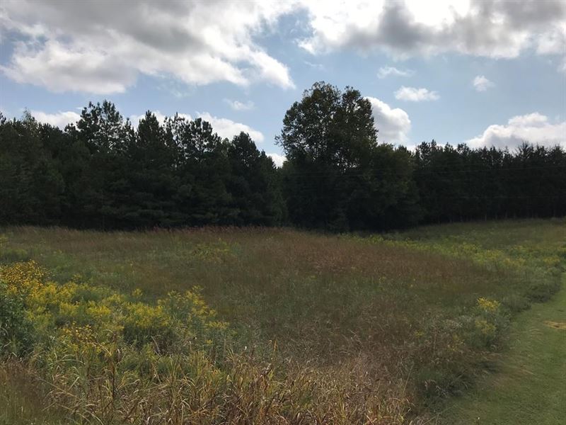 Land Priced To Sell Minutes To : Boydton : Mecklenburg County : Virginia