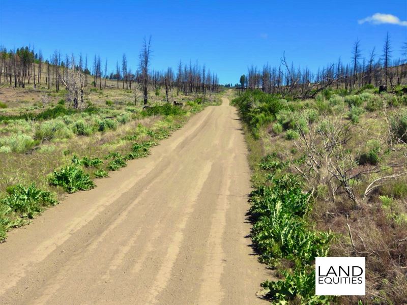 Quiet Location with Seasonal Stream : Sprague River : Klamath County : Oregon