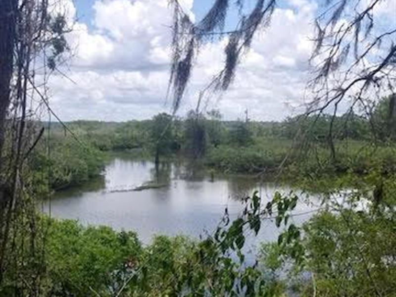 Nice Duck and Deer Lot At Lake Mary Land for Sale in Woodville