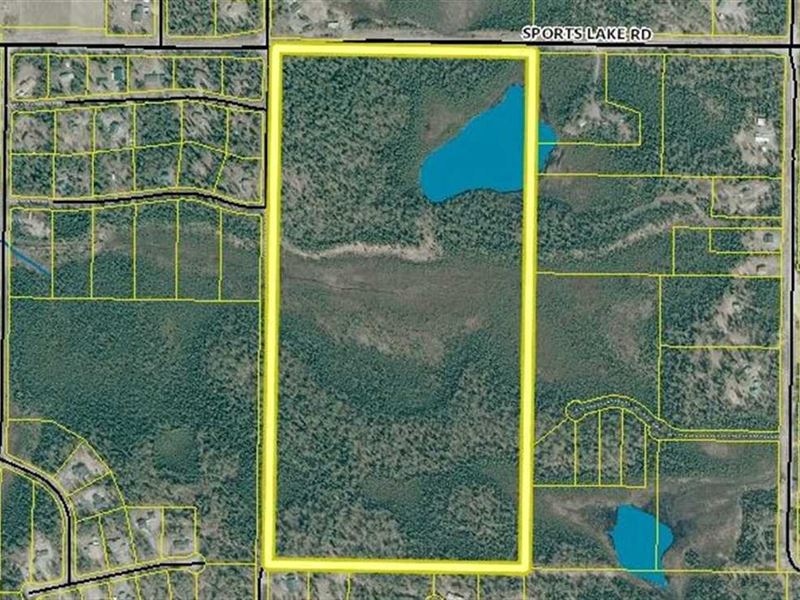 Great Investment, Large 75 Acre PA : Soldotna : Kenai Peninsula Borough : Alaska