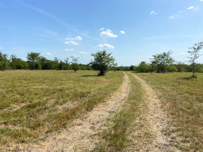 10 Acres Tract 18 Hwy 30 : Huntsville : Walker County : Texas