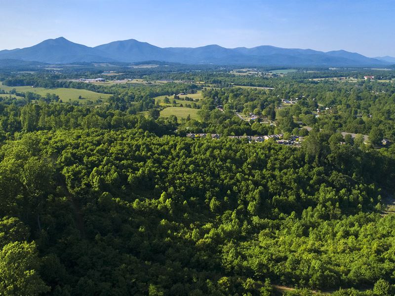 Now is The Time to Buy Real Estate : Bedford : Virginia Beach City County : Virginia