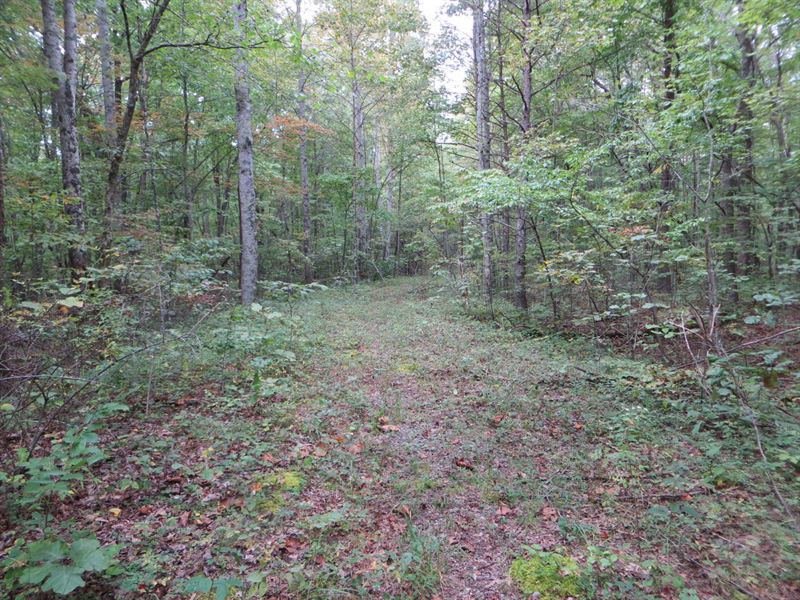 Private ,Creek : Crossville : Bledsoe County : Tennessee