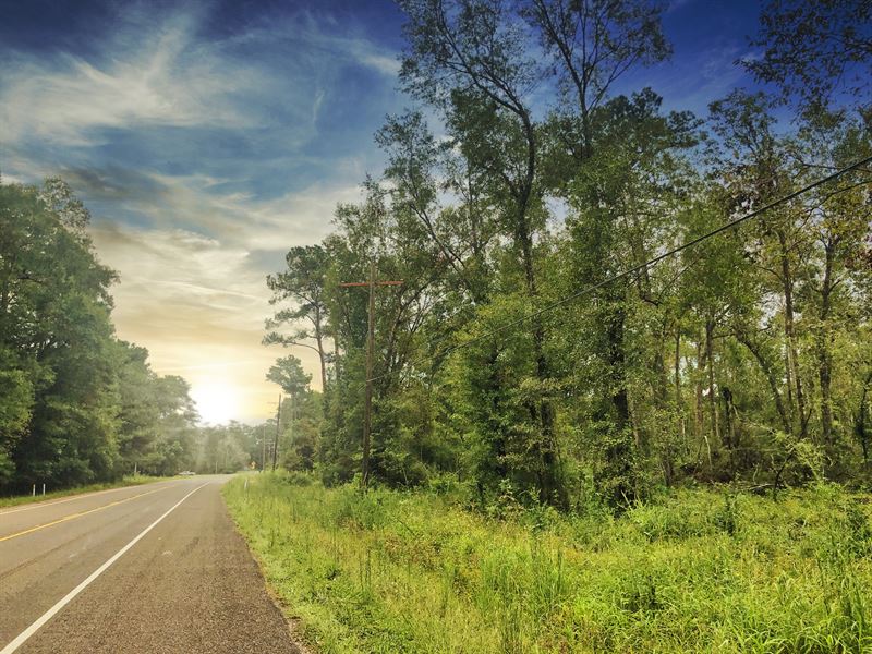 83 Acres, FM 1131 : Vidor : Orange County : Texas