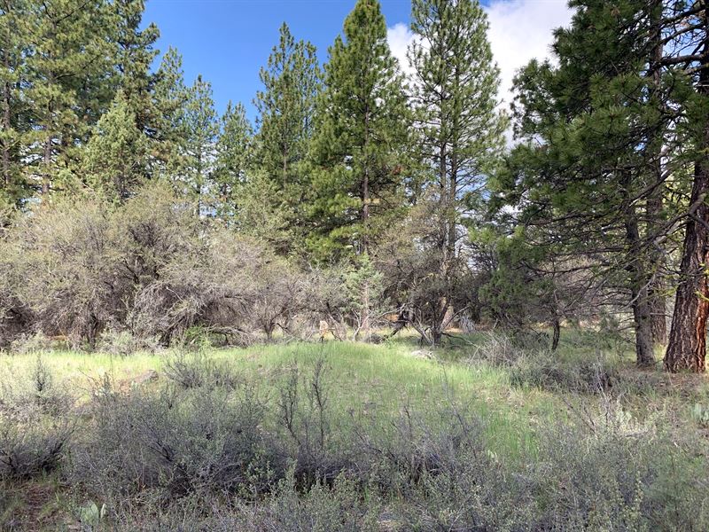 2.3 Oregon Acres, Power Nearby : Bonanza : Klamath County : Oregon