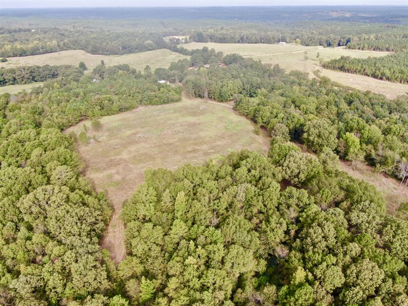 40+/- Acres Pickens County, AL : Gordo : Pickens County : Alabama