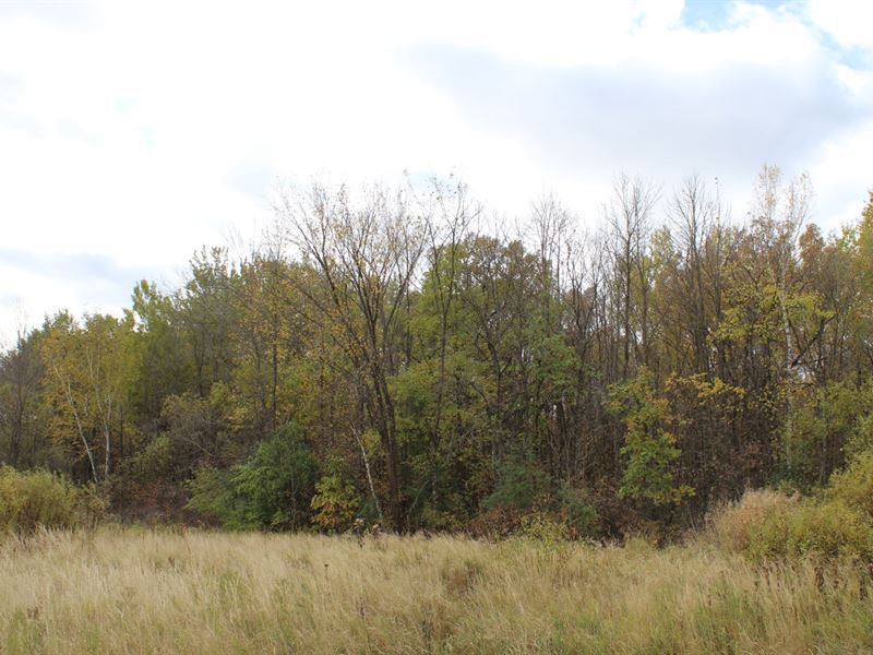 Kanabec County 40 Acres for Sale : Ogilvie : Kanabec County : Minnesota