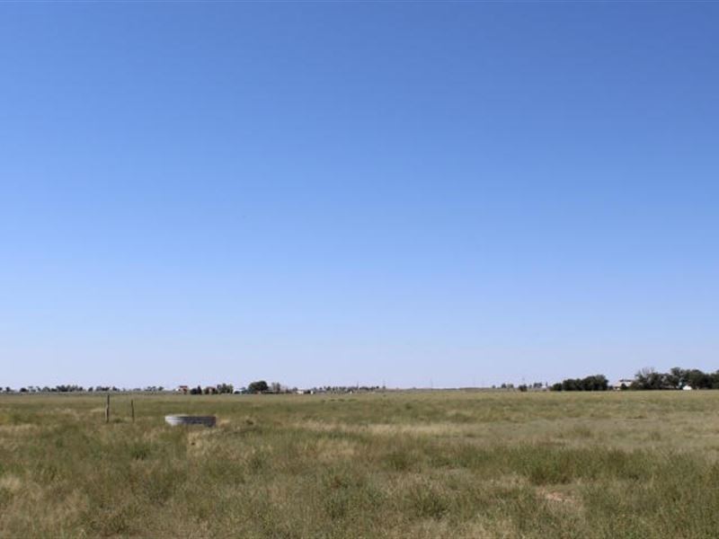 Central New Mexico 284 Acres : Moriarty : Torrance County : New Mexico