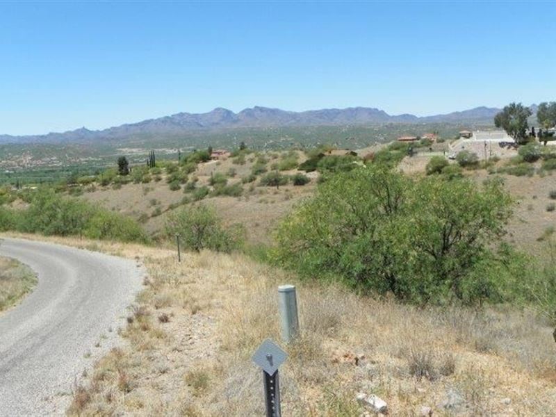 2.8 Acres of Desert Beauty in AZ : Rio Rico : Santa Cruz County : Arizona