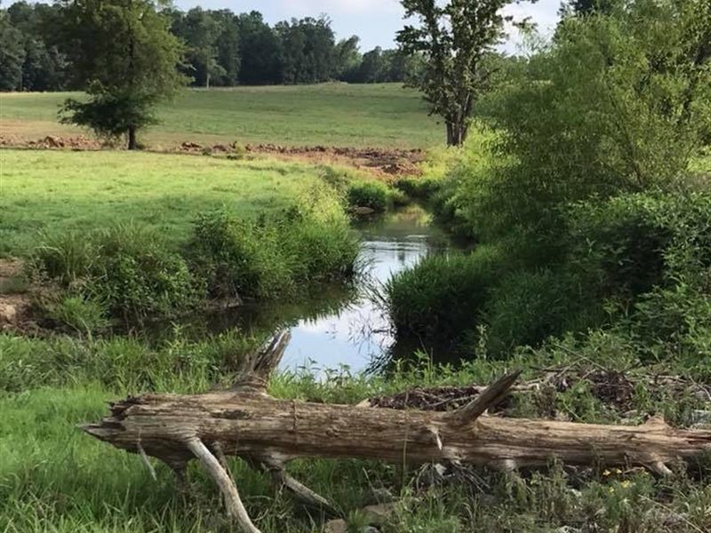 Beautiful Ranch, Springs, Ponds : Maynard : Randolph County : Arkansas