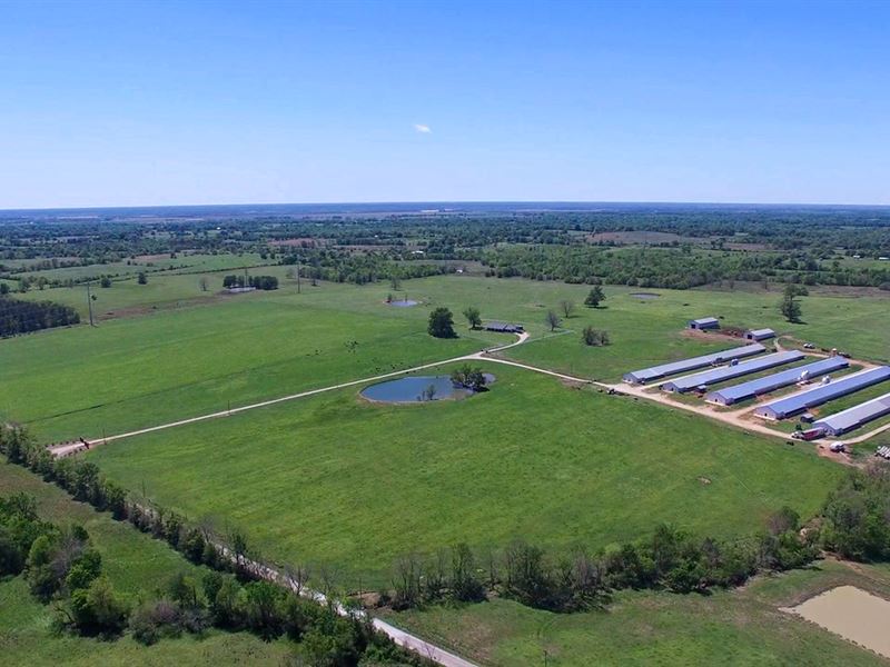 Hopkins Breeder Farm : Idabel : McCurtain County : Oklahoma