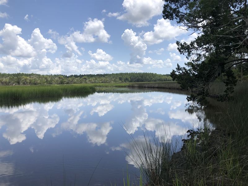 Habitat Green Plantation : Saint Simons : Glynn County : Georgia