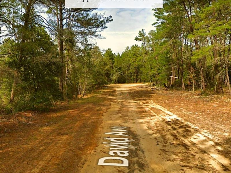 .43 Acres Only $1Dn, $199/Mo : Interlachen : Putnam County : Florida