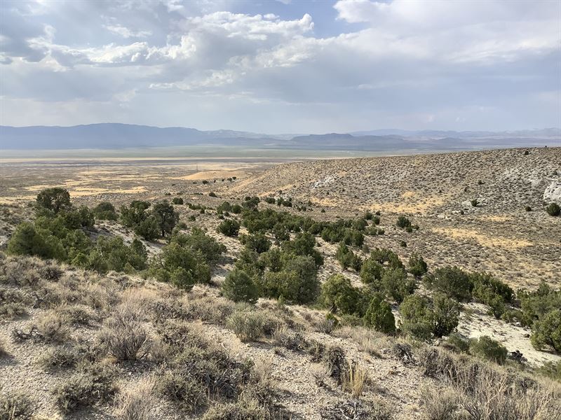 Hunting and Camping Paradise : Montello : Elko County : Nevada