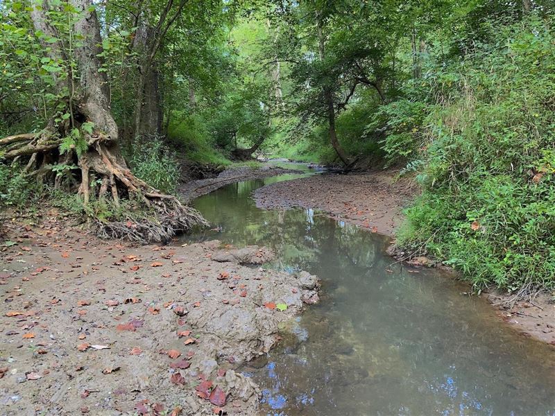 Toad Run, 120 Acres, Hocking Coun : Rockbridge : Hocking County : Ohio