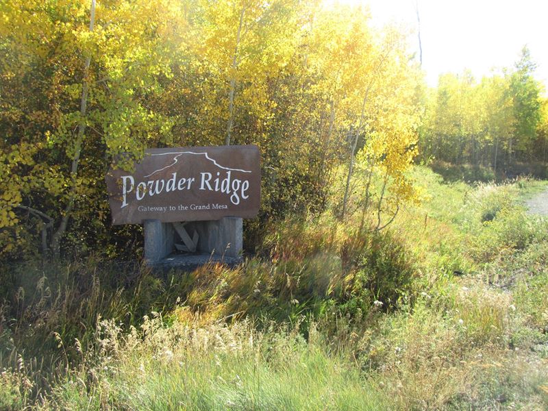 Vacant Building Lot Powderhorn Ski : Mesa : Mesa County : Colorado