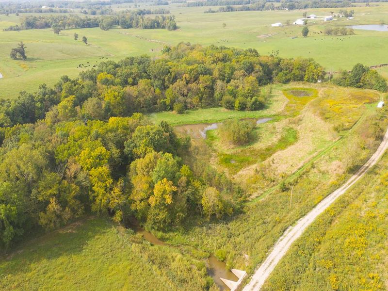 Small Acreage Recreational Hunting : Humphreys : Linn County : Missouri