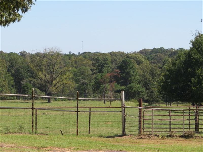 Beautiful Tract of Hay Pasture Land : Longview : Gregg County : Texas