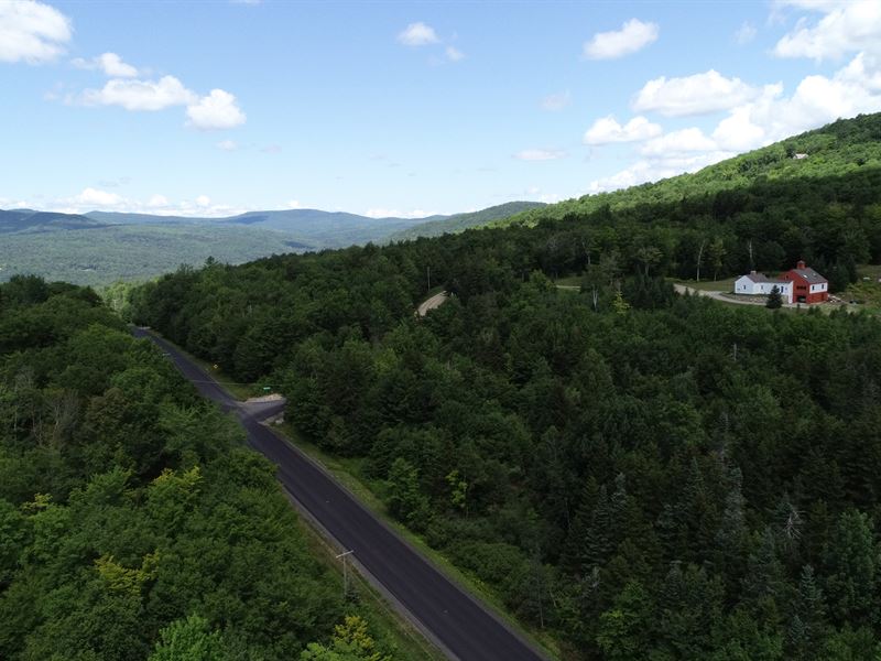 Markham Mountain Forest : Andover : Windsor County : Vermont