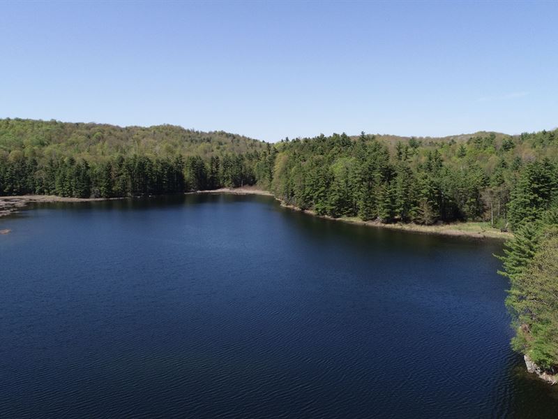 Huff Pond Forest : Sudbury : Rutland County : Vermont