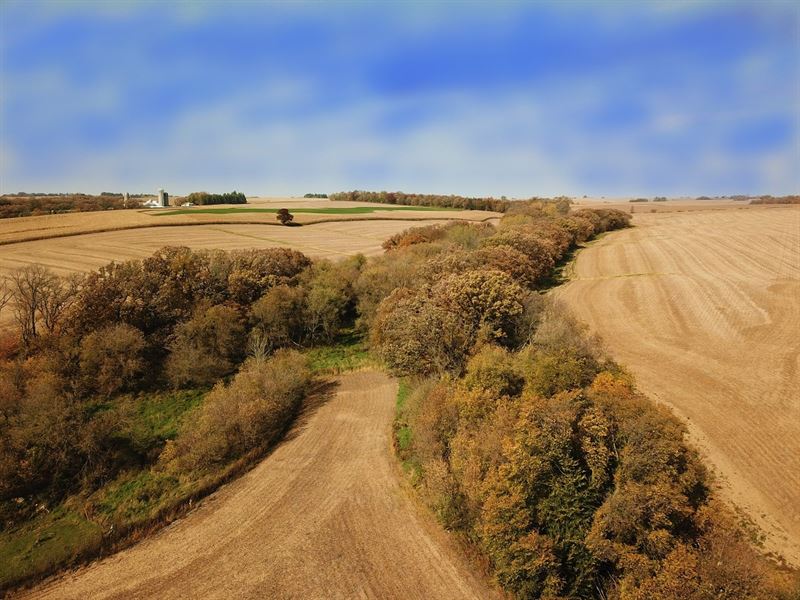 24 Acres Fillmore County, MN : Wykoff : Fillmore County : Minnesota