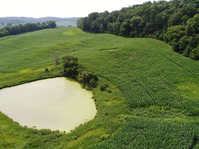 136 Acres Trempealeau County, WI : Whitehall : Trempealeau County : Wisconsin