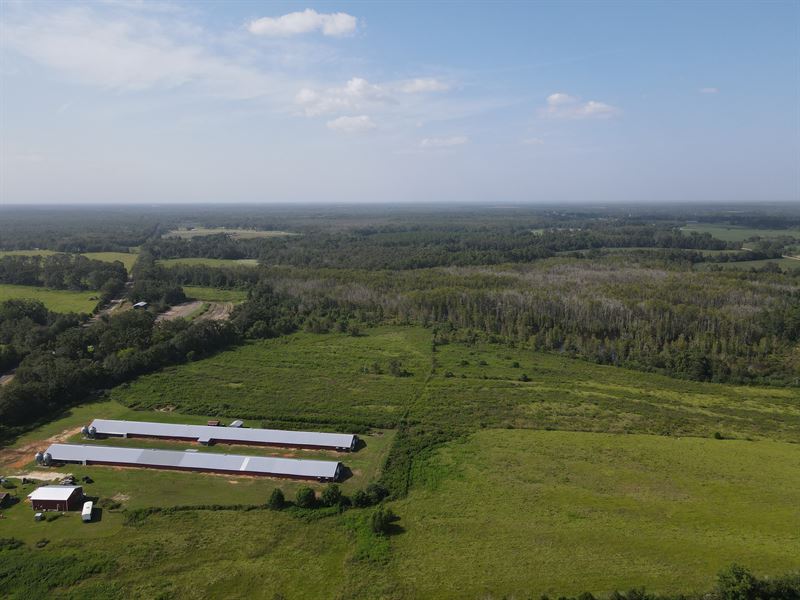 Possible Site for New Poultry Farm : Hartford : Geneva County : Alabama
