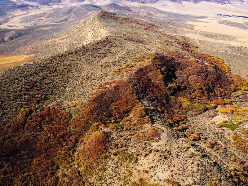 Gnat Hill Ranch : Hayden : Routt County : Colorado